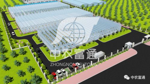 全力打造精品工程 2021年重點建設(shè)項目盤點